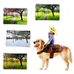 Disfraz Para Perros Y Gatos Con Jinete De Vaquero Dif Tallas - Miniatura 4