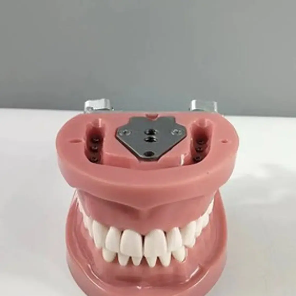 Arcada Modelo Dental Tipo Nissin 32 Piezas Encía Dura 8