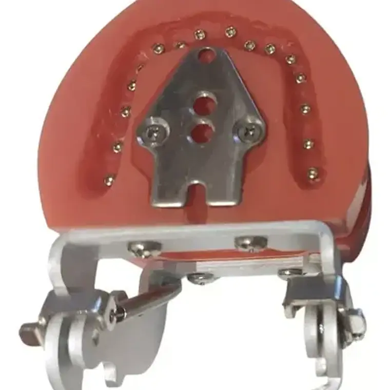 Arcada Modelo Dental Tipo Nissin 32 Piezas Encía Dura 9