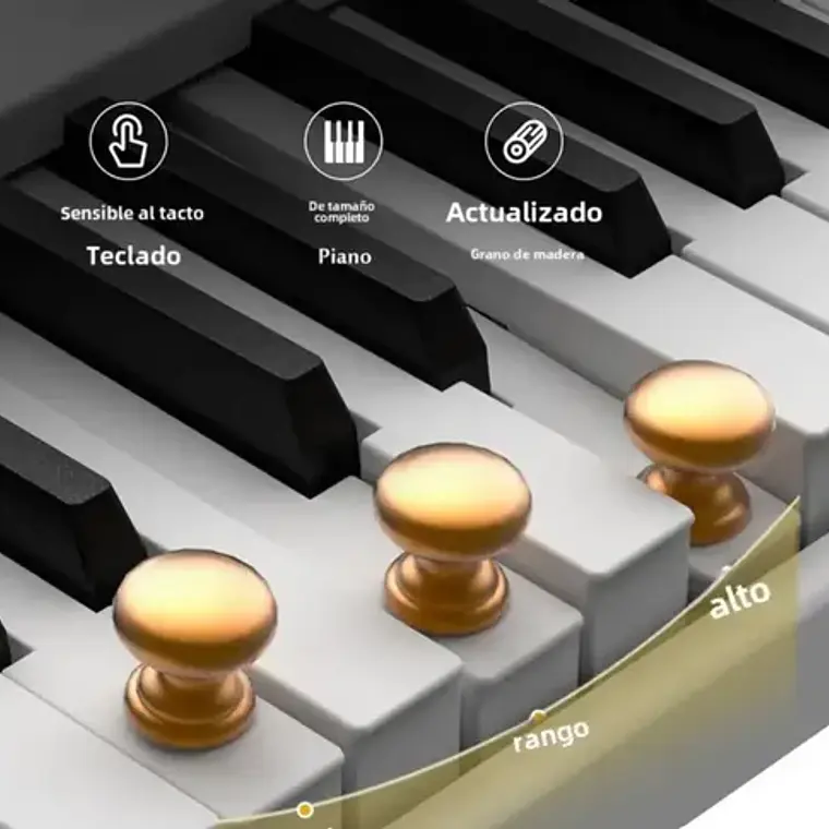 Piano Digital Pacard Realista 88 Teclas Madera Usb Color Marrón Oscuro 5
