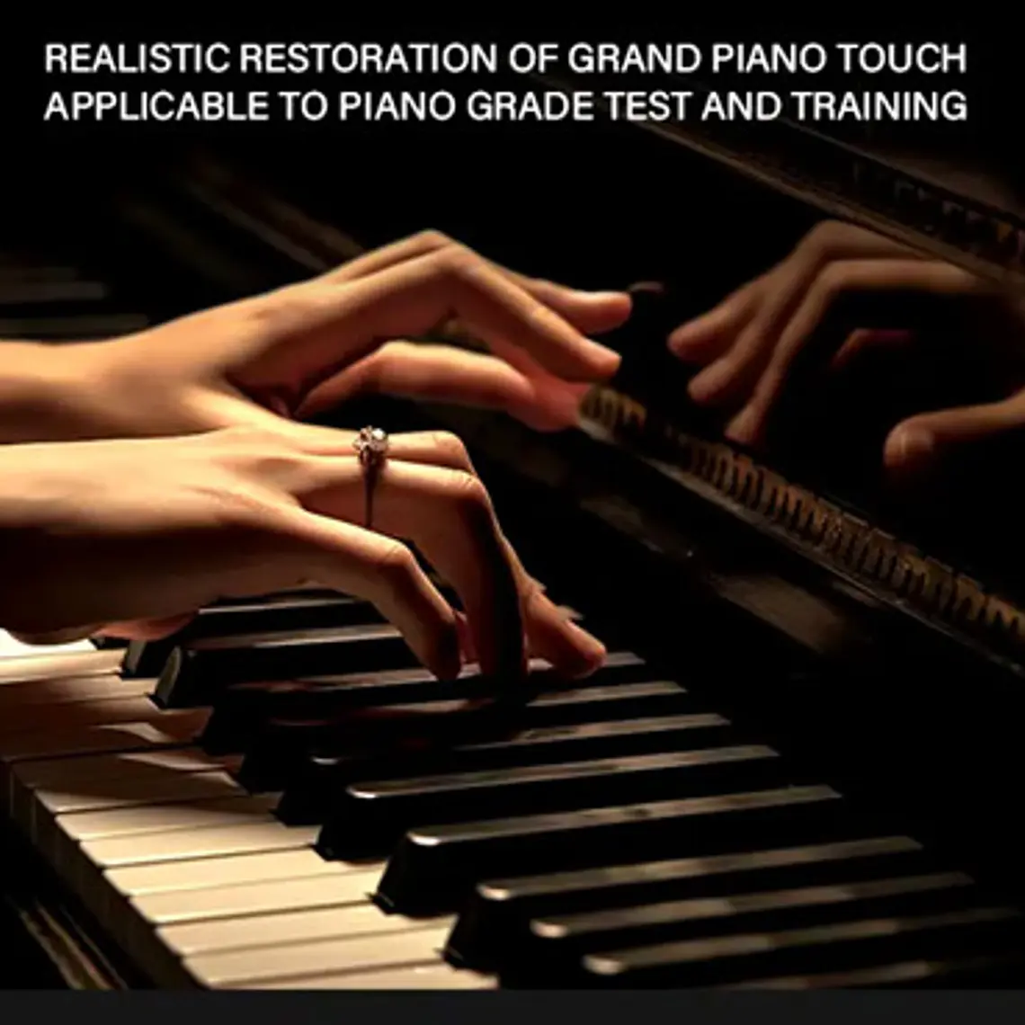 Piano Digital Pacard Realista 88 Teclas Madera Usb Color Marrón Oscuro 6