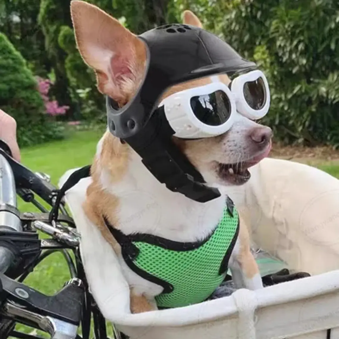 Cascos Para Perros-gatos Uso Moto, Bicicleta Y Protección 3