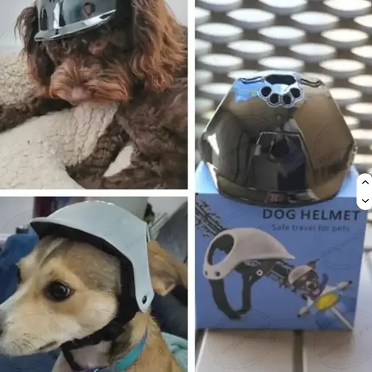 Cascos Para Perros-gatos Uso Moto, Bicicleta Y Protección 5