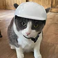 Cascos Para Perros-gatos Uso Moto, Bicicleta Y Protección - Miniatura 10