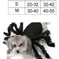 Disfraz Perro Gato Diseño Araña Halloween Y Risas Tamaños - Miniatura 4