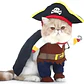 Disfraz Halloween Pirata Para Perro Gato Con Sombrero Y Capa Color Talla Xl - Miniatura 2