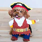 Disfraz Halloween Pirata Para Perro Gato Con Sombrero Y Capa Color Talla Xl - Miniatura 3