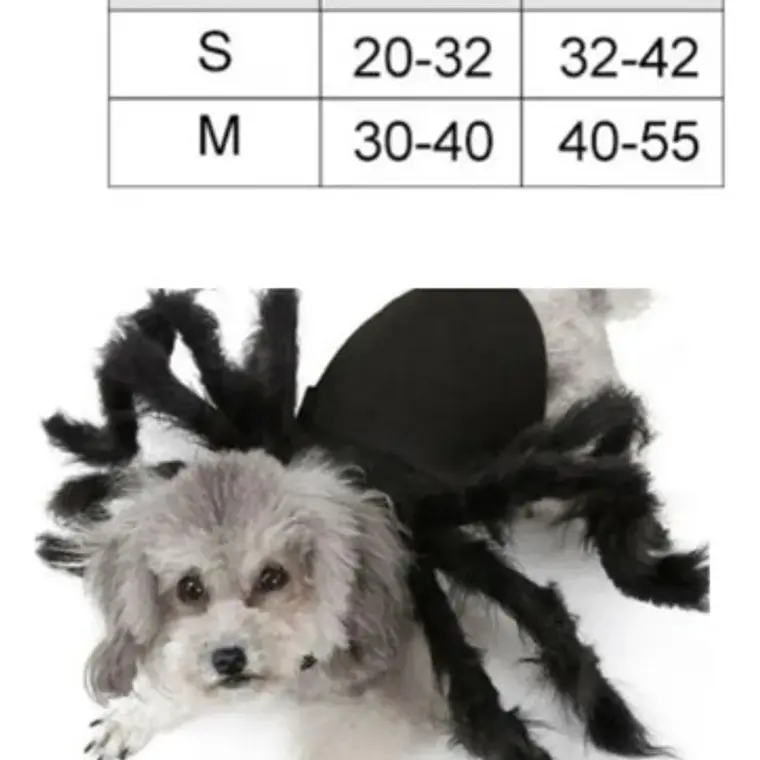 Disfraz Perro Gato Diseño Araña Halloween Y Risas Tamaños Color Talla S 4