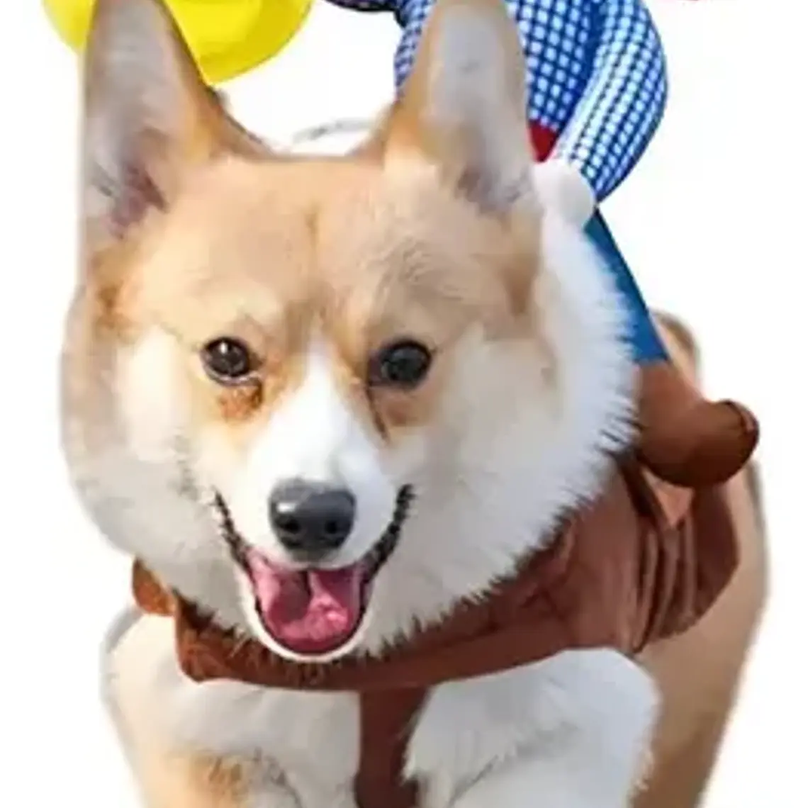 Disfraz Para Perros Y Gatos Con Jinete De Vaquero Dif Tallas Color Talla Xl 3