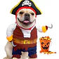 Disfraz Halloween Pirata Para Perro Gato Con Sombrero Y Capa Color Talla L - Miniatura 1