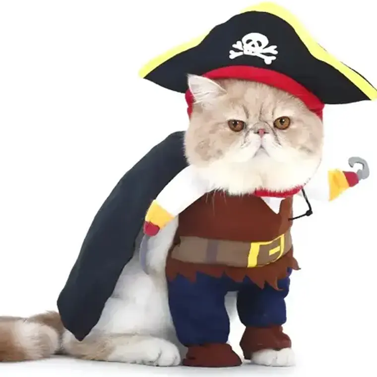 Disfraz Halloween Pirata Para Perro Gato Con Sombrero Y Capa Color Talla L 3