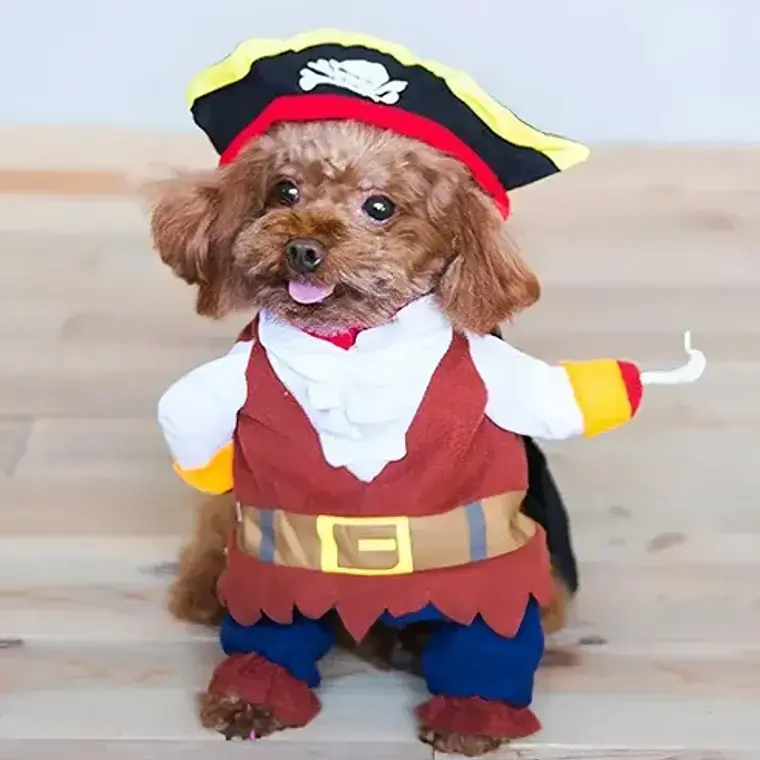 Disfraz Halloween Pirata Para Perro Gato Con Sombrero Y Capa Color Talla L 4