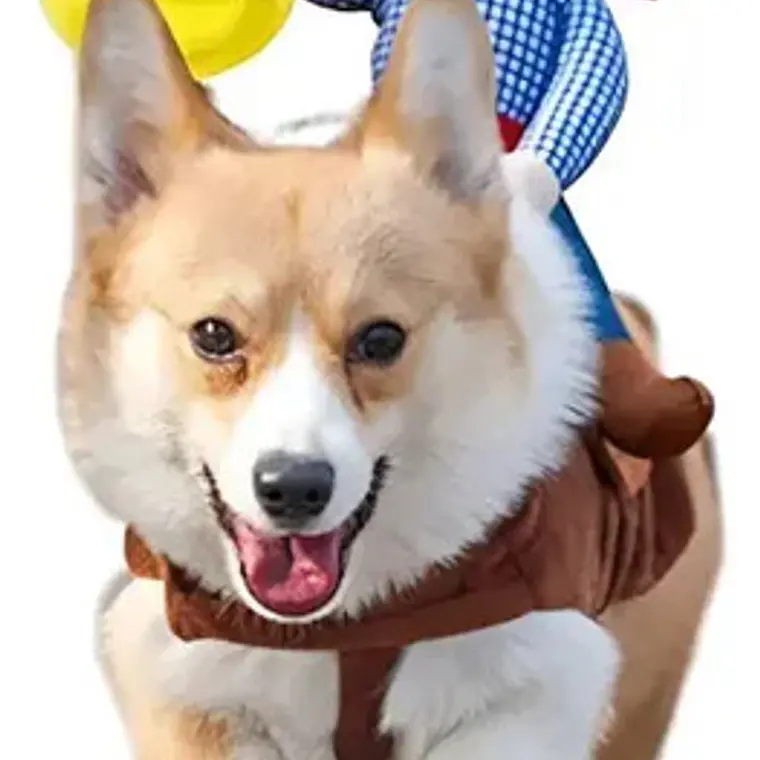 Disfraz Para Perros Y Gatos Con Jinete De Vaquero Dif Tallas Color Talla L 3