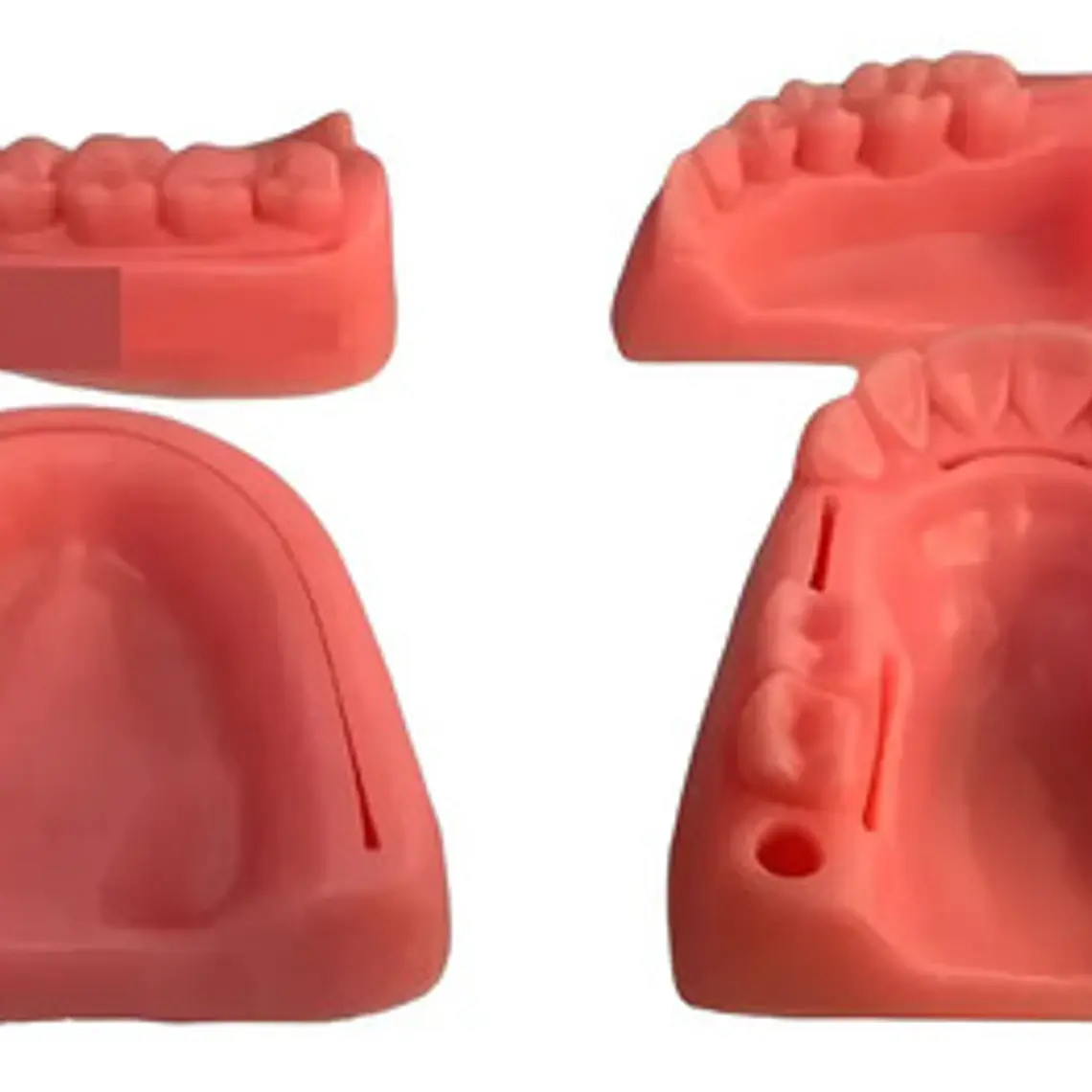 Kit Práctica Sutura Dentista Cirugía Incluye 4 Modelos Stgo 1