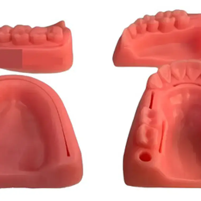 Kit Práctica Sutura Dentista Cirugía Incluye 4 Modelos Stgo 1