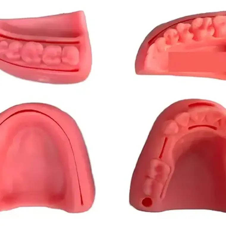 Kit Práctica Sutura Dentista Cirugía Incluye 4 Modelos Stgo 2