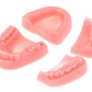 Kit Práctica Sutura Dentista Cirugía Incluye 4 Modelos Stgo - Miniatura 4