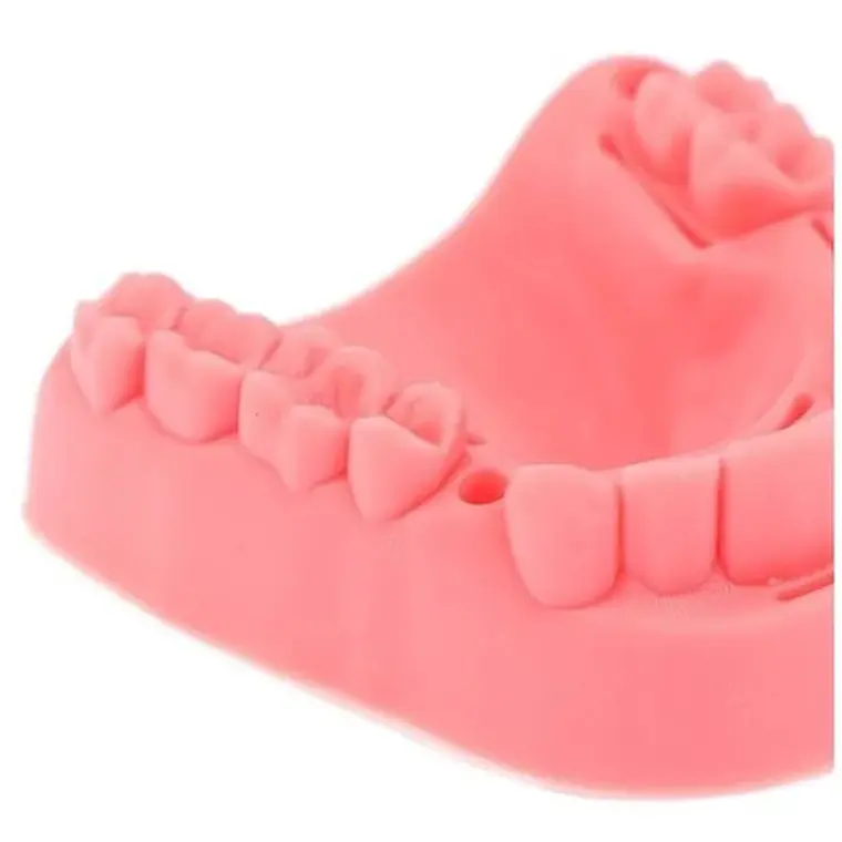 Kit Práctica Sutura Dentista Cirugía Incluye 4 Modelos Stgo 6