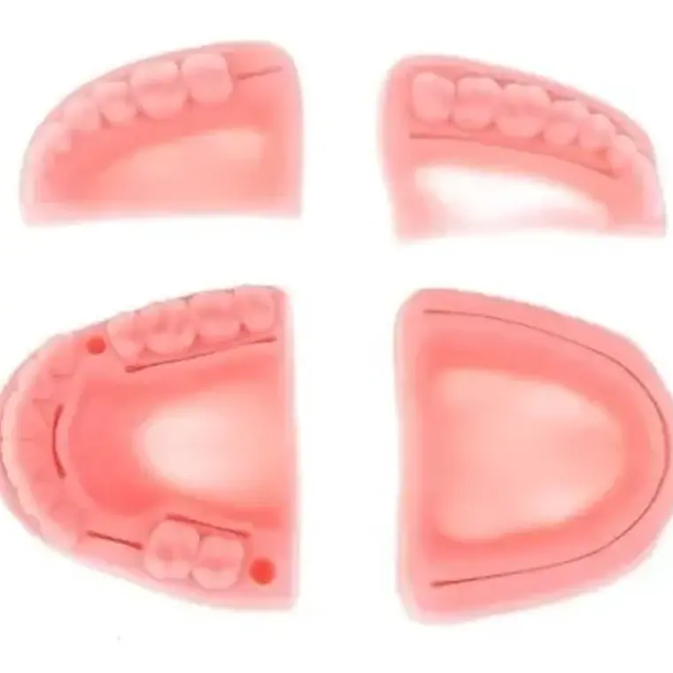 Kit Práctica Sutura Dentista Cirugía Incluye 4 Modelos Stgo 7