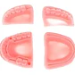 Kit Práctica Sutura Dentista Cirugía Incluye 4 Modelos Stgo - Miniatura 7