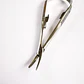 Pinza Castroviejo 14cm Cirugía Simportas Santiago - Miniatura 14