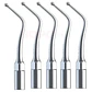Puntas Ultrasonido Endodoncia Especiales Unidad Santiago - Miniatura 5