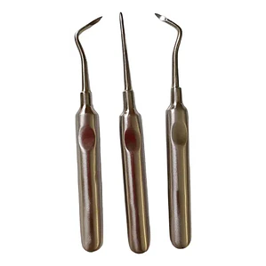 Elevadores Para Restos Apicales Dental Set De 3u Santiago