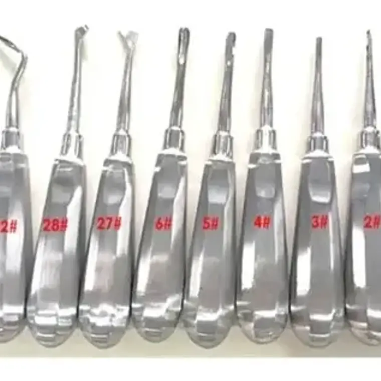 Elevadores Exodoncia Set De 10u Dental Incluye Winter Stgo. 5