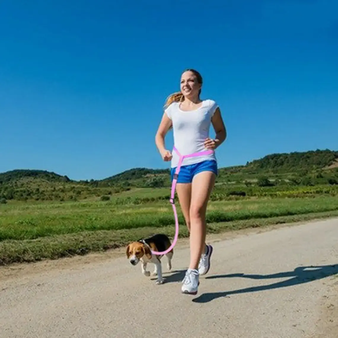 Cinturón Correa Para Correr Con Tu Perro Running Santiago 5