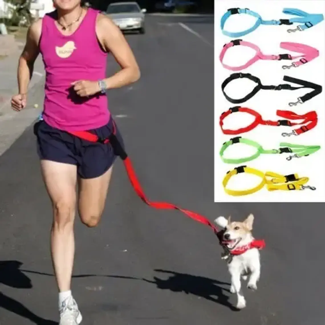 Cinturón Correa Para Correr Con Tu Perro Running Santiago 12