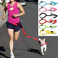 Cinturón Correa Para Correr Con Tu Perro Running Santiago - Miniatura 12