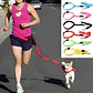 Cinturón Correa Para Correr Con Tu Perro Running Santiago - Miniatura 16