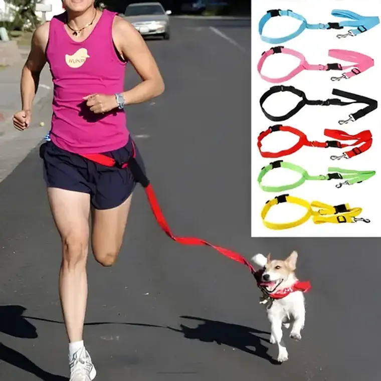 Cinturón Correa Para Correr Con Tu Perro Running Santiago 20