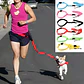 Cinturón Correa Para Correr Con Tu Perro Running Santiago - Miniatura 33