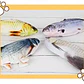 Juguete Pescado Con Movimiento Pará Gato Usb Santiago - Miniatura 4