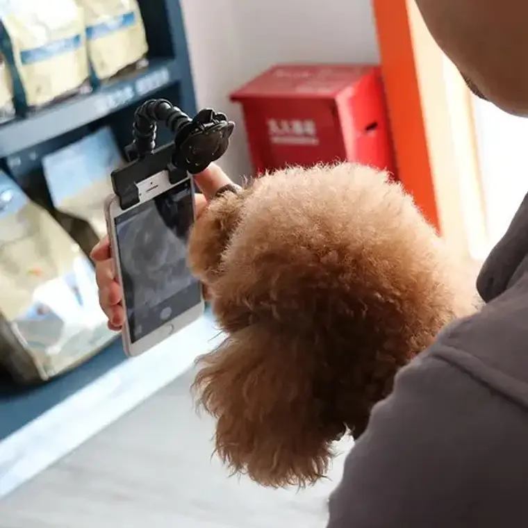 Palo Selfie Para Mascotas Perro Gato Novedad 10