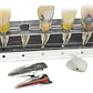 Modelo Endodoncia Dental Acrílico Enseñanza Didáctico Stgo. - Miniatura 1