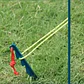 Estacas De Aluminio Para Carpa Metalizadas 6 Uds. Stgo. - Miniatura 12