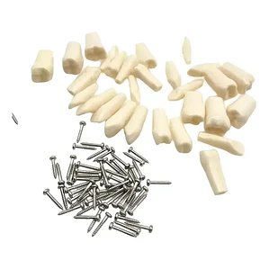 Dientes Para Modelo Frasaco Tipodonto 32 Piezas Desmontables
