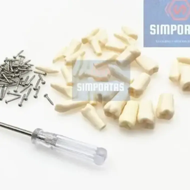 Dientes Para Modelo Frasaco Tipodonto 32 Piezas Desmontables 5