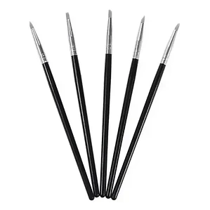 Pack 5 Pinceles De Silicona Para Composite Dental Santiago