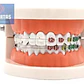 Modelo Dental Ortodoncia Enseñanza Y Estudio Santiago - Miniatura 2