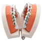Modelo Dental Ortodoncia Enseñanza Y Estudio Santiago - Miniatura 9