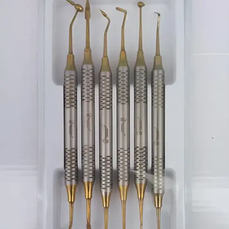 Espátulas Composite Dental Marca Pacard Original Calidad 1