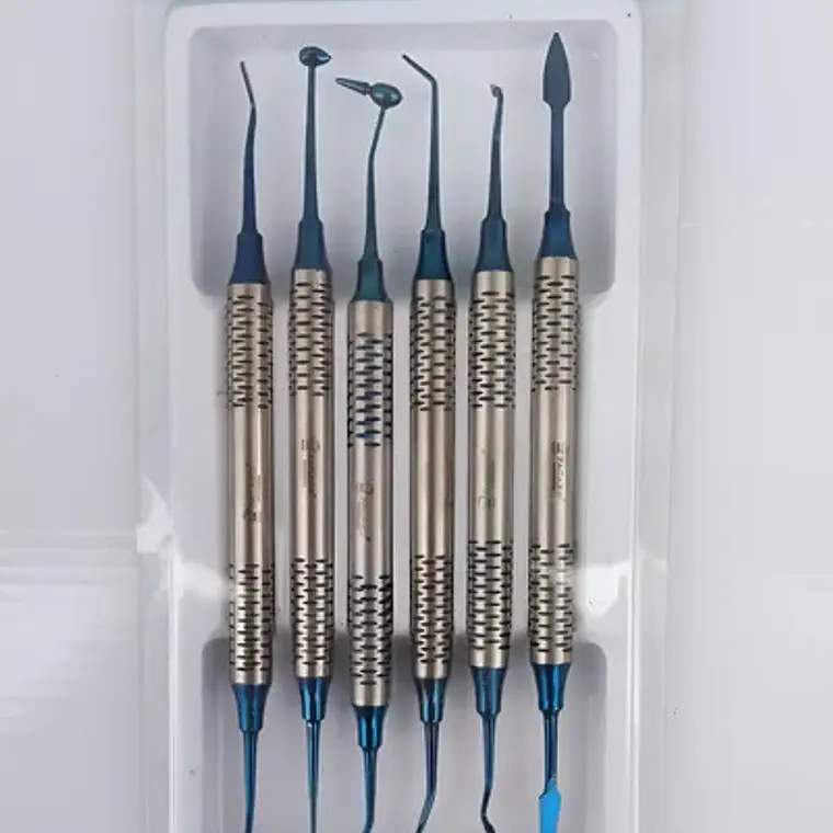 Espátulas Composite Dental Marca Pacard Original Calidad 11