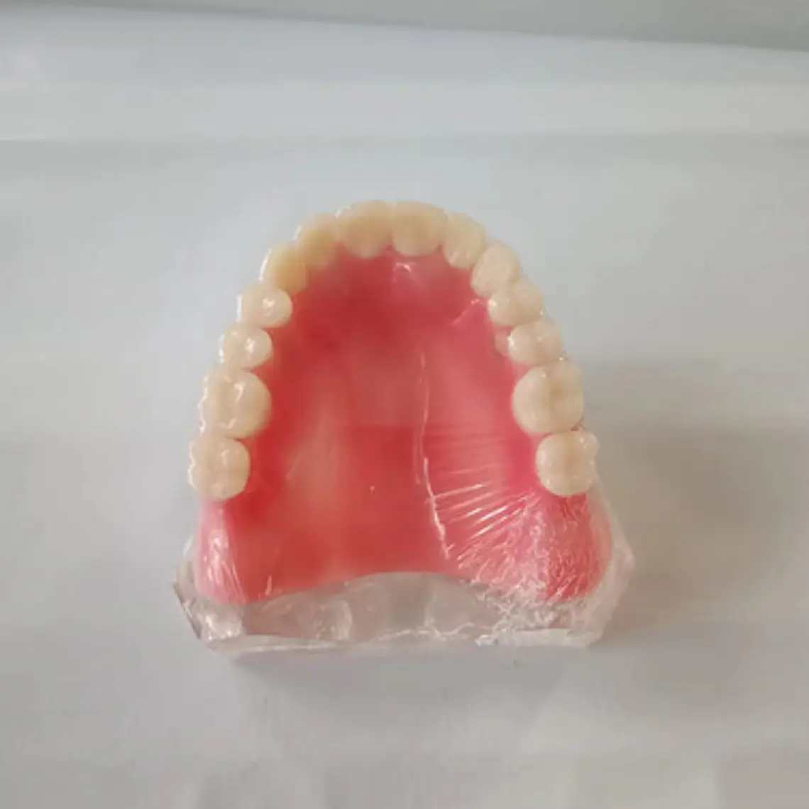 Modelo Sobre Dentadura Superior 4 Implantes Enseñanza 3