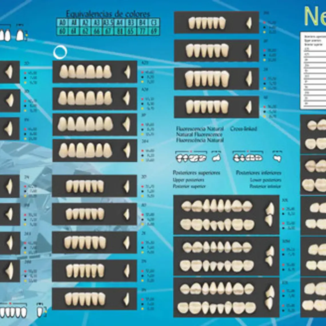Tableta Dientes De Acrílico Newcryl 2 Capas Antero Inferior 2