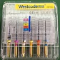 Limas Mecanizadas Protaper Set Endodoncia Modelos Santiago - Miniatura 9