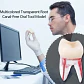 Molar Para Práctica Endodoncia Enseñanza Santiago - Miniatura 3