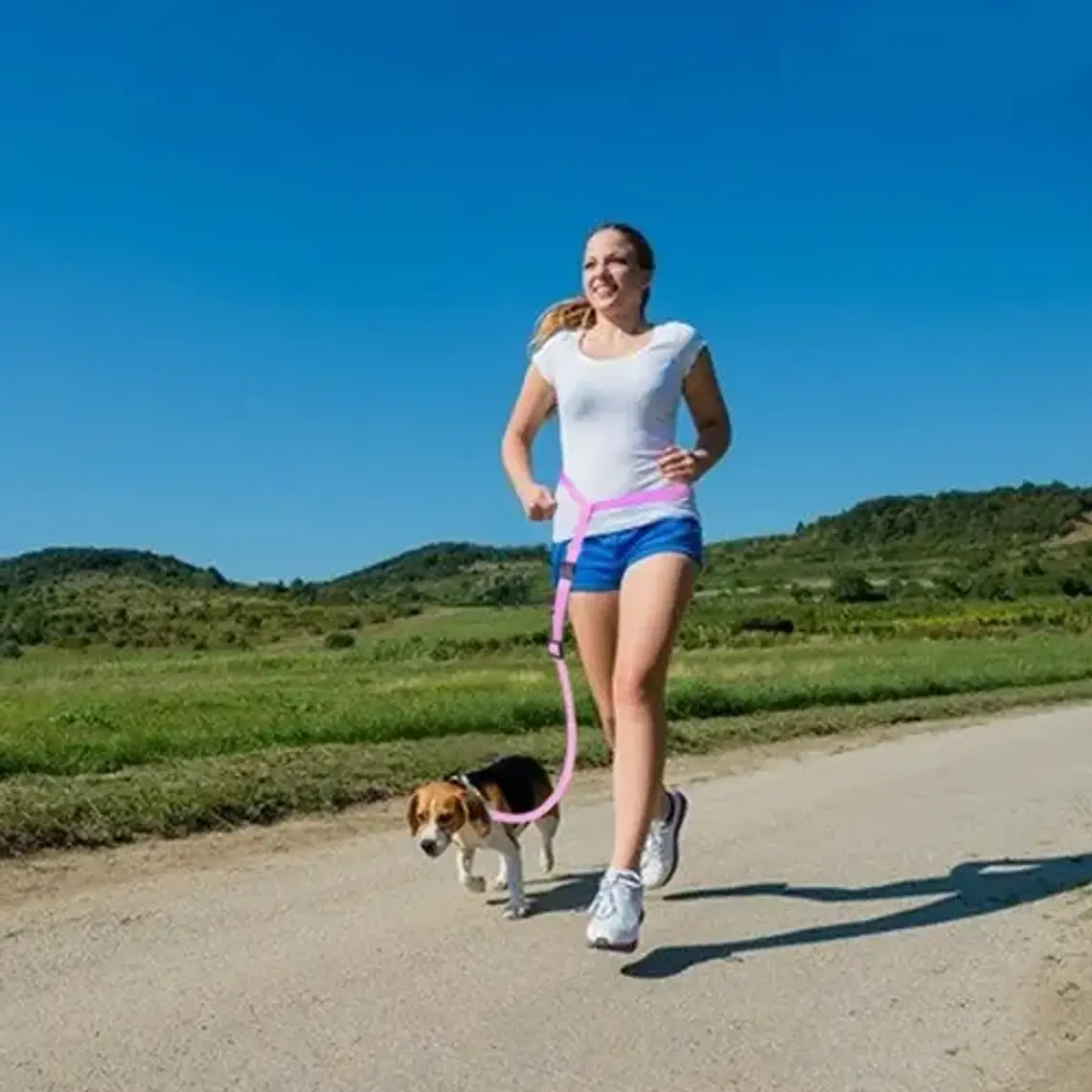 Cinturón Correa Para Correr Con Tu Perro Running Santiago 27